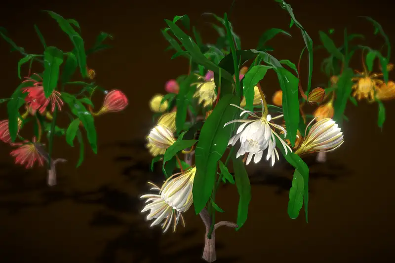 Flower Brahma Kamalam Asset Thumbnail