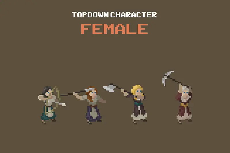 Female Top Down Pixel Art Character Assets Asset Image