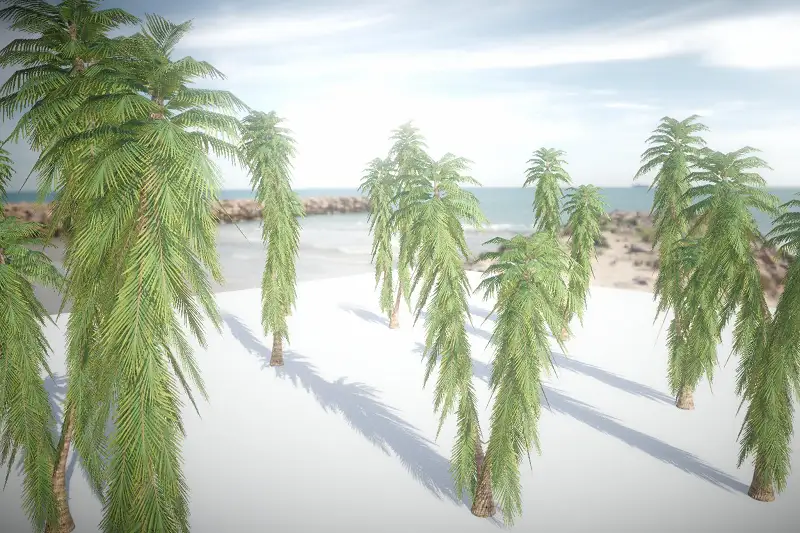 Mobile Palm Tree 9 Asset Thumbnail